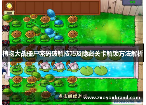 植物大战僵尸密码破解技巧及隐藏关卡解锁方法解析