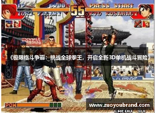 《极限格斗争霸：挑战全球拳王，开启全新3D单机战斗冒险》