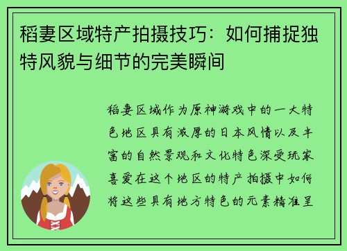 稻妻区域特产拍摄技巧：如何捕捉独特风貌与细节的完美瞬间